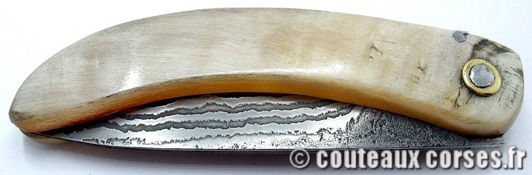 curnicciolu-damas-et-corne-de-belier-_NTRPL784-padovani-12