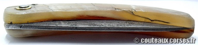 curnicciolu-damas-et-corne-de-belier-_NTRPL784-padovani-1