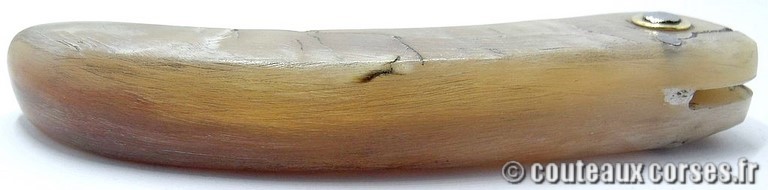 curnicciolu-damas-et-corne-de-belier-_NTRPL784-padovani-12
