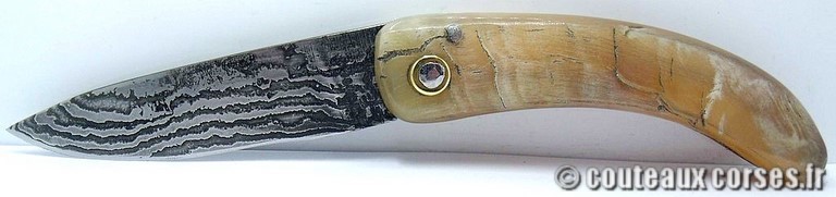 couteau corse curnicciolu damas et corne de belier curnicciolu-damas-et-corne-de-belier-_NTRPL784-padovani-15