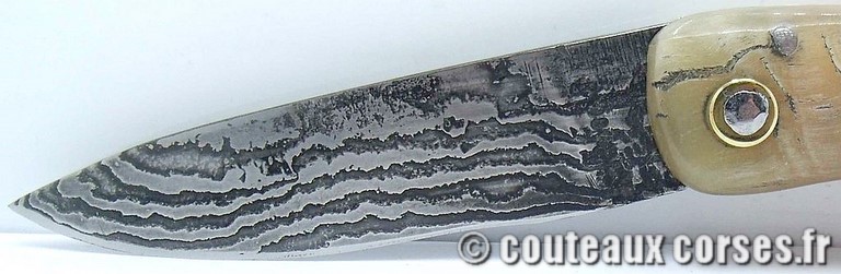 couteau corse curnicciolu damas et corne de belier curnicciolu-damas-et-corne-de-belier-_NTRPL784-padovani-18