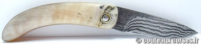 curnicciolu-damas-et-corne-de-belier-_NTRPL784-padovani-18