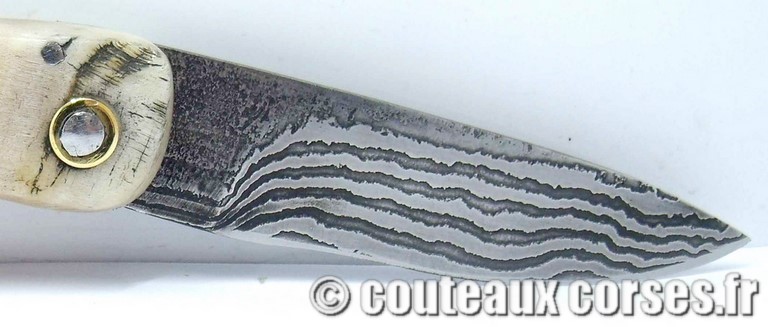 curnicciolu-damas-et-corne-de-belier-_NTRPL784-padovani-11
