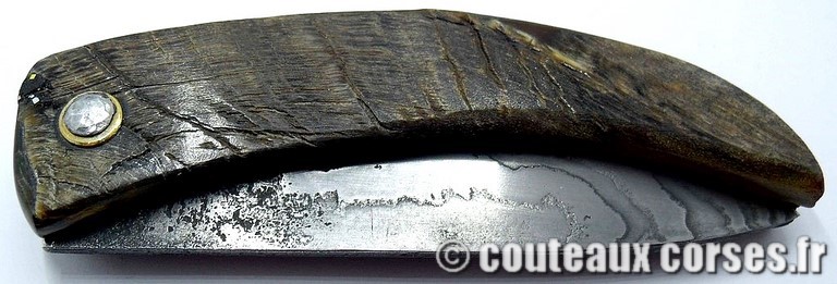 curnicciolu-damas-et-corne-de-belier-_BRTPT957-padovani-3
