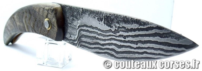 curnicciolu-damas-et-corne-de-belier-_BRTPT957-padovani-118