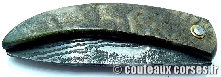 curnicciolu-damas-et-corne-de-belier-_BRTPT957-padovani-12