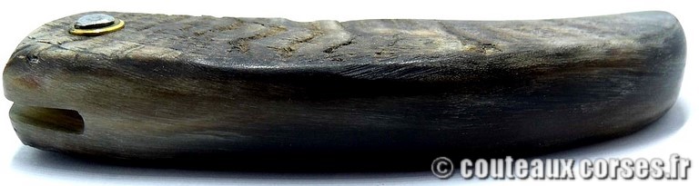 curnicciolu-damas-et-corne-de-belier-_BRTPT957-padovani-12