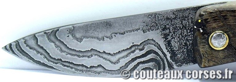 couteau corse curnicciolu damas et corne de belier curnicciolu-damas-et-corne-de-belier-_BRTPT957-padovani-18