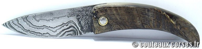 couteau corse curnicciolu damas et corne de belier curnicciolu-damas-et-corne-de-belier-_BRTPT957-padovani-15