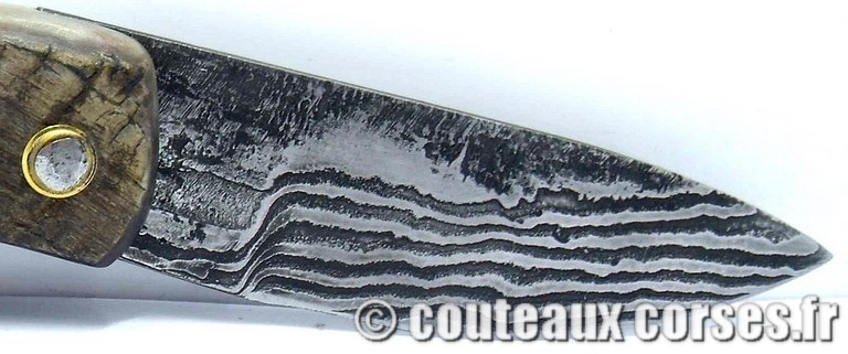 couteau corse curnicciolu damas et corne de belier curnicciolu-damas-et-corne-de-belier-_BRTPT957-padovani-11