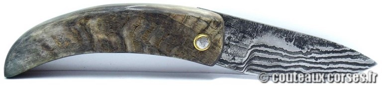 couteau corse curnicciolu damas et corne de belier curnicciolu-damas-et-corne-de-belier-_BRTPT957-padovani-18