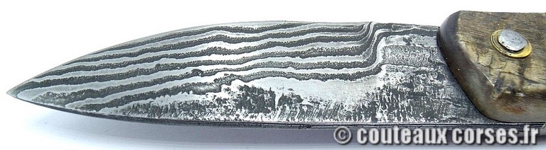 curnicciolu-damas-et-corne-de-belier-_BRTPT957-padovani-189