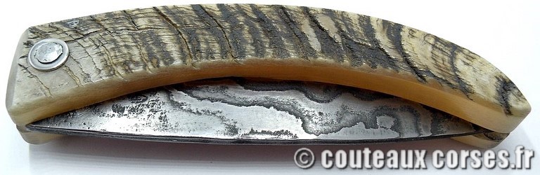 curnicciolu-damas-et-corne-de-belier-_PMFR540-padovani-3