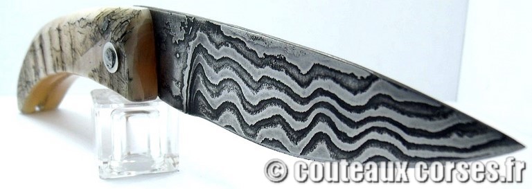 curnicciolu-damas-et-corne-de-belier-_PMFR540-padovani-1128