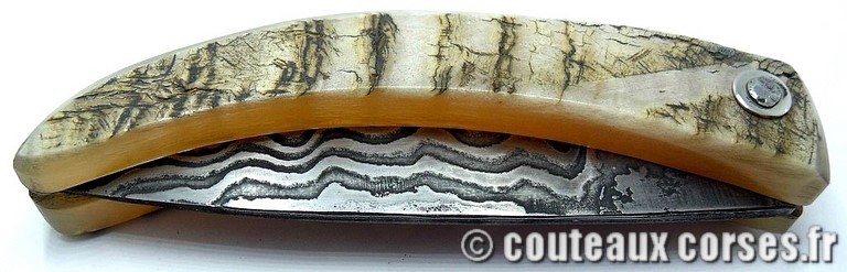 curnicciolu-damas-et-corne-de-belier-_PMFR540-padovani-12