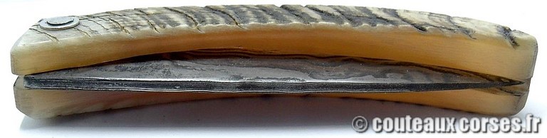 curnicciolu-damas-et-corne-de-belier-_PMFR540-padovani-1