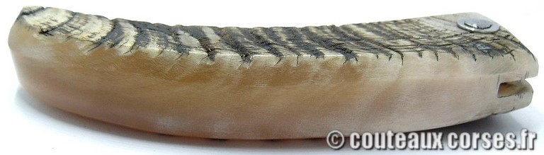 curnicciolu-damas-et-corne-de-belier-_PMFR540-padovani-12
