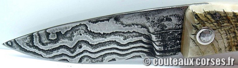couteau corse curnicciolu damas et corne de belier curnicciolu-damas-et-corne-de-belier-_PMFR540-padovani-18