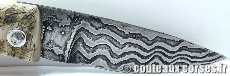 curnicciolu-damas-et-corne-de-belier-_PMFR540-padovani-11