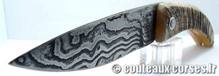 Curnicciolu corne de belier et damas king size M Padovani curnicciolu-damas-et-corne-de-belier-_PMFR540-padovani-1
