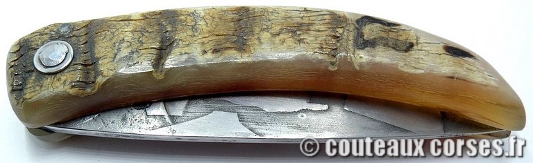 curnicciolu-sgaurdu-manu-padovani-LGBN079-c9