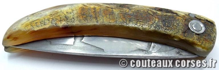curnicciolu-sgaurdu-manu-padovani-LGBN079-c99