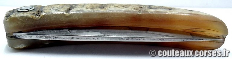 curnicciolu-sgaurdu-manu-padovani-LGBN079c4