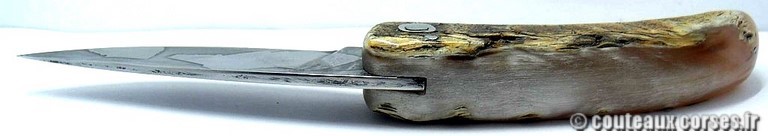 curnicciolu-sgaurdu-manu-padovani-LGBN079c7