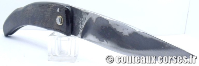couteau corse curnicciolu Padovani u1 couteau-corse-curnicciolu-padovani-VRTE843-10