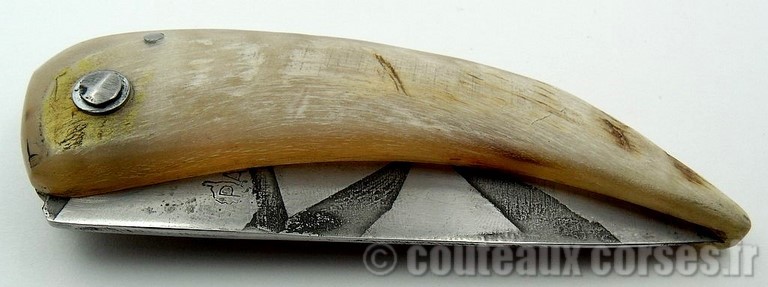 couteau_corse_curnicciolu_sguardu_padovani_1