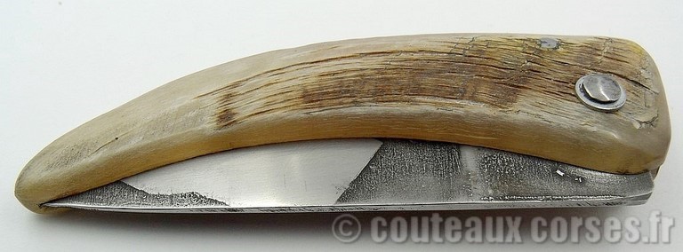 couteau_corse_curnicciolu_sguardu_padovani_2