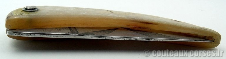 couteau_corse_curnicciolu_sguardu_padovani_3