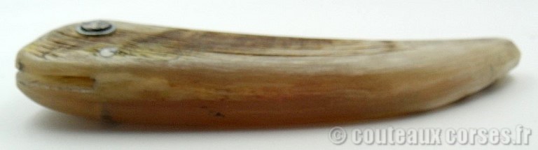 couteau_corse_curnicciolu_sguardu_padovani_4