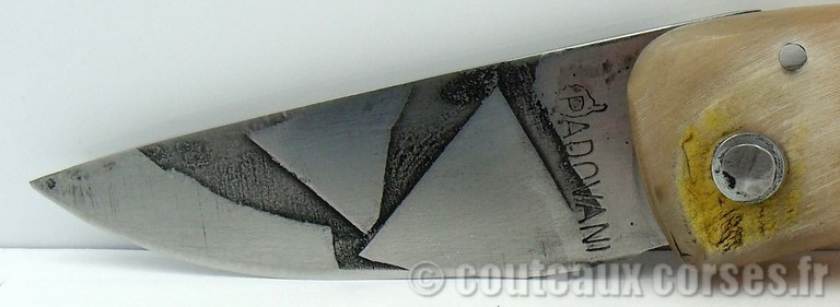 couteau_corse_curnicciolu_sguardu_padovani_5