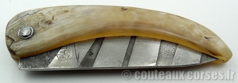 couteau_corse_curnicciolu_sguardu_padovani_4