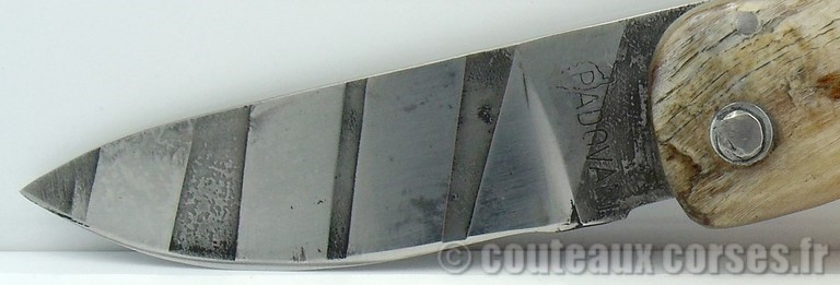 couteau_corse_curnicciolu_sguardu_padovani_aa_5