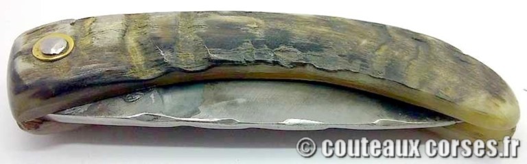 couteau corse curnicciolu Padovani u3 couteau-corse-curnicciolu-padovani-MFGD89-91