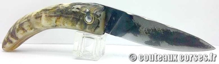 couteau corse curnicciolu Padovani u1 couteau-corse-curnicciolu-padovani-MFGD89-510