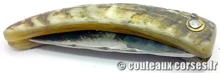 couteau corse curnicciolu Padovani u3 couteau-corse-curnicciolu-padovani-MFGD89-8