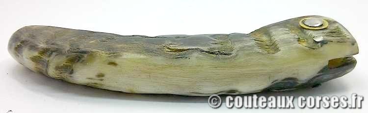 couteau corse curnicciolu Padovani u7 couteau-corse-curnicciolu-padovani-MFGD89-3