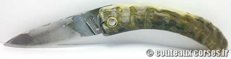 couteau corse curnicciolu Padovani u3 couteau-corse-curnicciolu-padovani-MFGD89-5