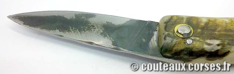 couteau corse curnicciolu Padovani u7 couteau-corse-curnicciolu-padovani-MFGD89-8