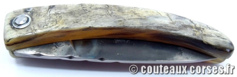 couteau corse curnicciolu Padovani u3 couteau-corse-curnicciolu-padovani-FDGJJO854-91