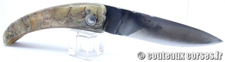 couteau corse curnicciolu Padovani u1 couteau-corse-curnicciolu-padovani-FDGJJO854-510