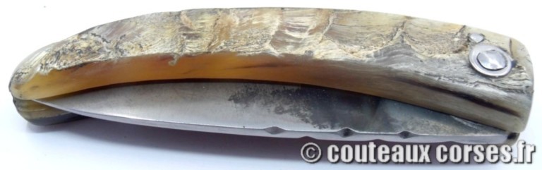 couteau corse curnicciolu Padovani u3 couteau-corse-curnicciolu-padovani-FDGJJO854-8