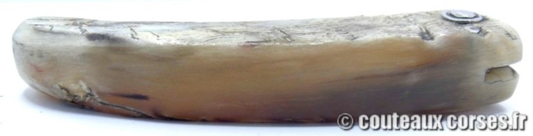 couteau corse curnicciolu Padovani u3 couteau-corse-curnicciolu-padovani-FDGJJO854-3