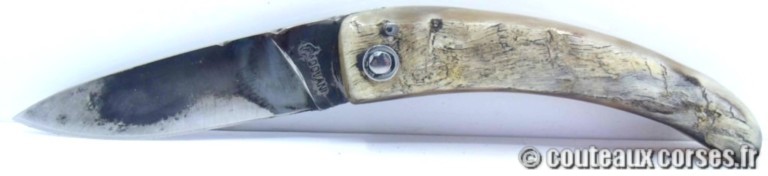 couteau corse curnicciolu Padovani u3 couteau-corse-curnicciolu-padovani-FDGJJO854-5