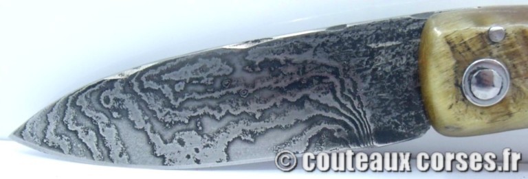 couteau corse curnicciolu damas et corne de belier curnicciolu-damas-et-corne-de-belier-GHDSFFP874-padovani-198