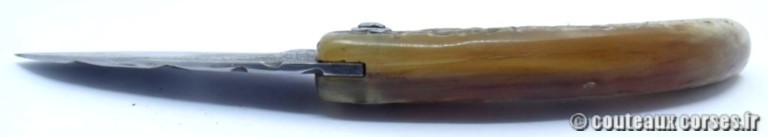 Curnicciolu corne de belier et damas king size M Padovani curnicciolu-damas-et-corne-de-belier-GHDSFFP874-padovani-84714