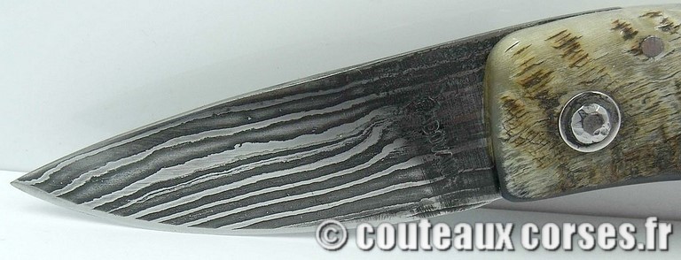 couteau corse curnicciolu damas et corne de belier curnicciolu-damas-et-corne-de-belier-padovani-WXC8--1-5-8